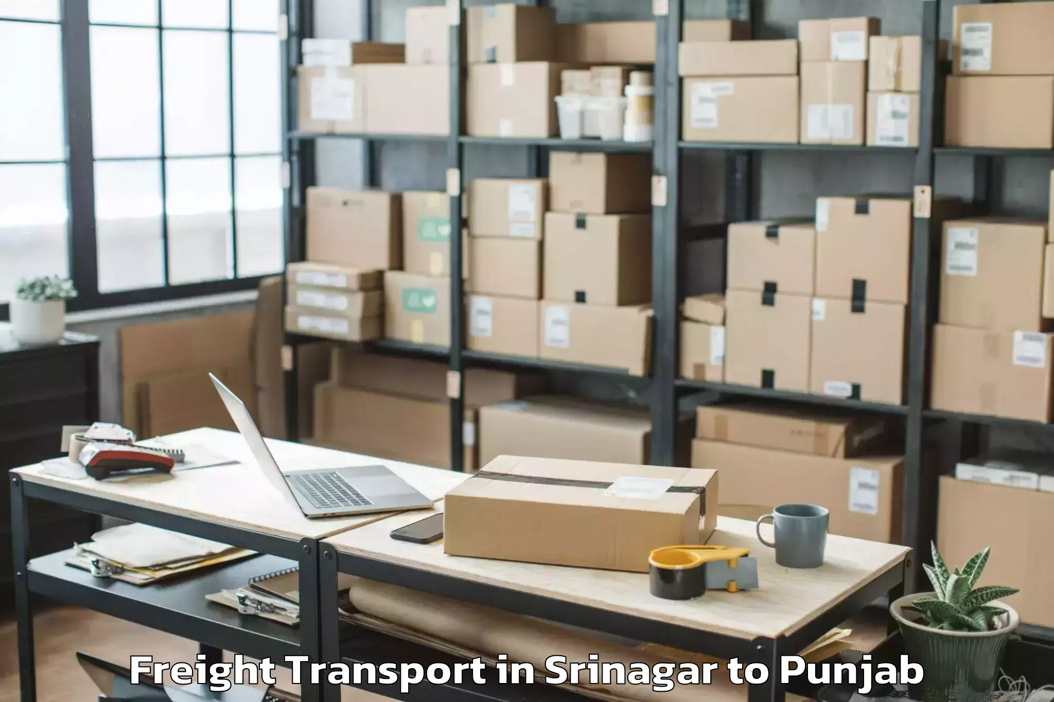 Reliable Srinagar to Punjabi University Patiala Pat Freight Transport